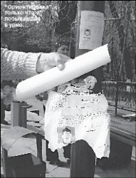 Мальчик из хорошей семьи