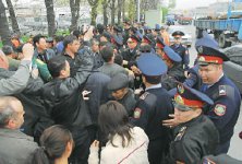 Зеленый щит