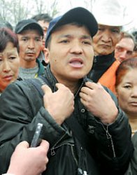 Зеленый щит