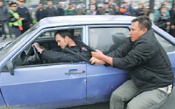 Зеленый щит