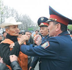 Зеленый щит