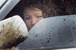 Из грязи - в князи