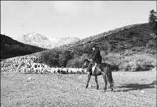 Страшилки из глубинки