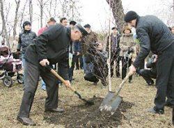 Детская аллея