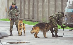 Побег из СИЗО