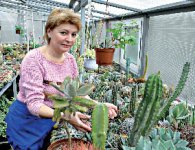 Колючая нежность