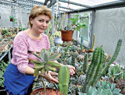 Колючая нежность