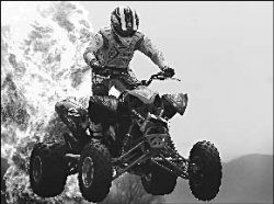 Из болота тащить бегемота