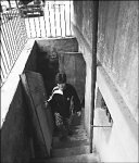 Подвал раздора