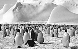 От кризиса - на полюс