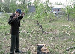 Не в службу, а в дружбу!