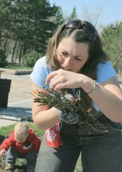 Розовая премия