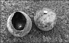 Шары прилетели