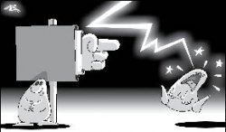 Лучше пирожок ни с чем, чем неизвестно с чем