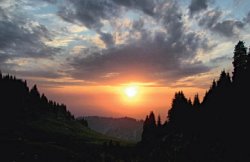 Яркие обрывки памяти