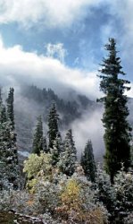 Яркие обрывки памяти