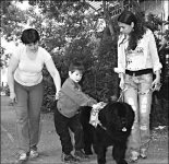 Собачье дело