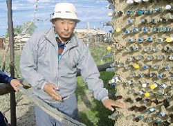 Сами мы непьющие