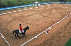 Села муха на лошадку...