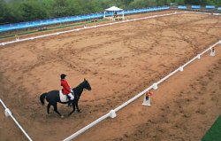 Села муха на лошадку...