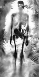 Портрет жены художника