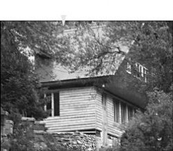 Прокурорский петроглиф