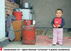 На произвол судьбы