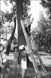 Даёшь скворечники!