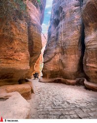 Константин КИКВИДЗЕ: Пейзаж - дело интимное