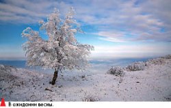 Константин КИКВИДЗЕ: Пейзаж - дело интимное