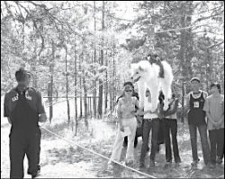 Хвостатые преподаватели