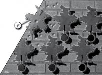 Большая охота