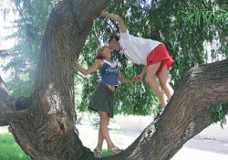 Чем выше любовь...