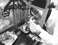 Акционировать нельзя запретить