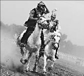 Игры великой степи