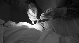 Прокурорский диагноз