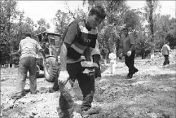 Как “дорожная карта” ляжет…