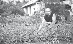 Кто кому насолил?