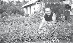 Кто кому насолил?