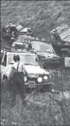 “Золотой теленок” по-казахстански