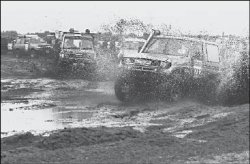 “Золотой теленок” по-казахстански