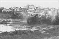 “Золотой теленок” по-казахстански