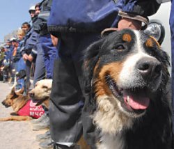 Стихия не ждет...