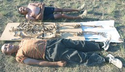 Заклятье долины змей 