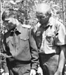 Он обещал показать котят...