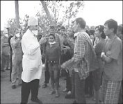 Чахоточный бунт