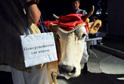 Говинда СВАМИ: Да пребудет счастье с вами!