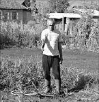 Понты вместо понтонов