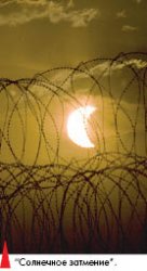 Вся жизнь - в одном снимке