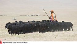 Вся жизнь - в одном снимке